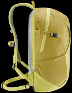 Speed Lite 21