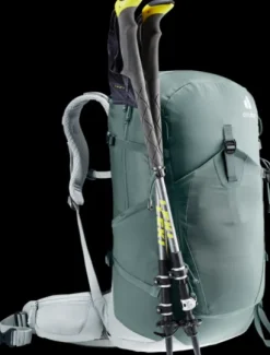 Trail Pro 31 SL